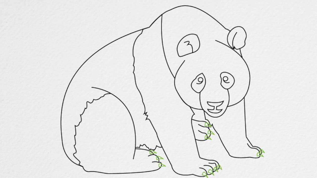 Медведь для срисовки карандашом
