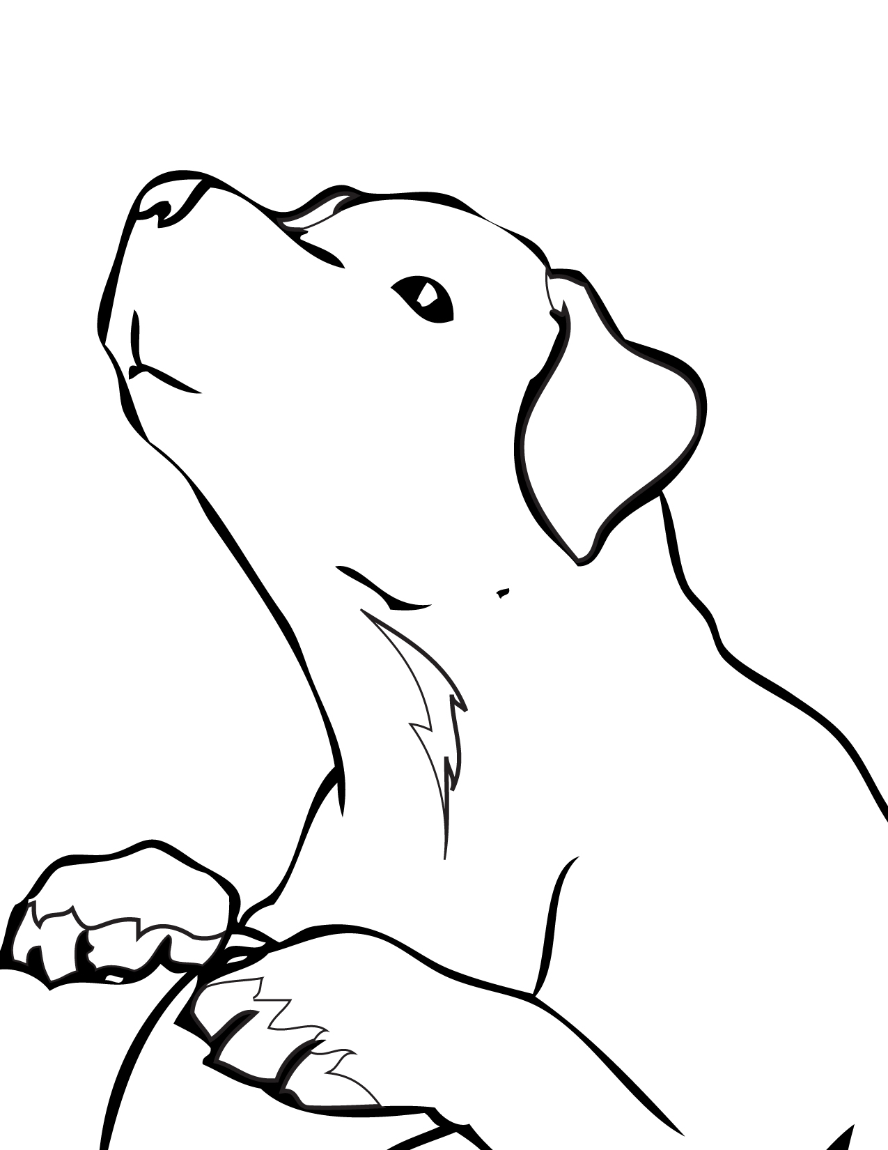 Раскраска щенок лабрадора