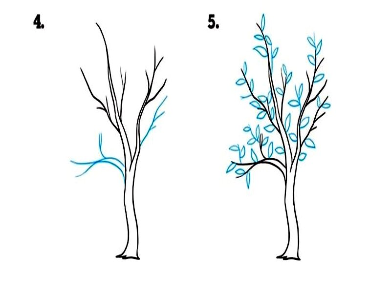 Рисуем дерево карандашом поэтапно