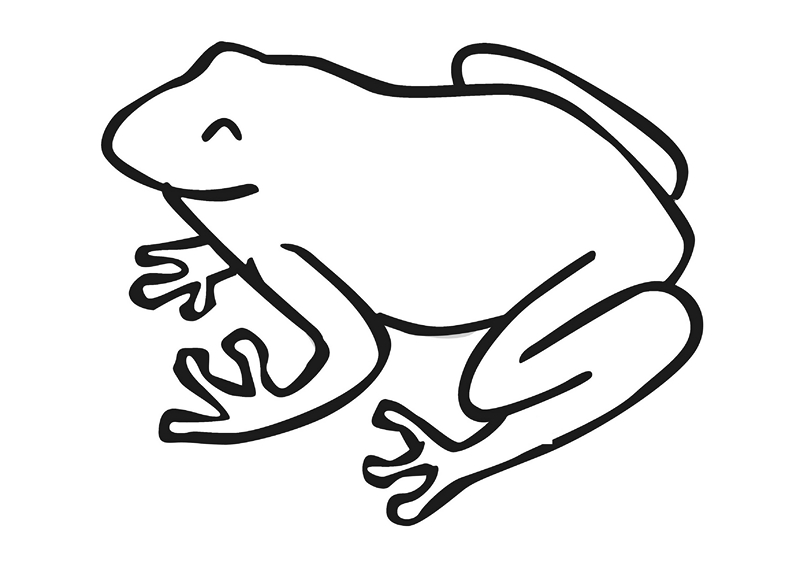 Лягушка рисунок схематично