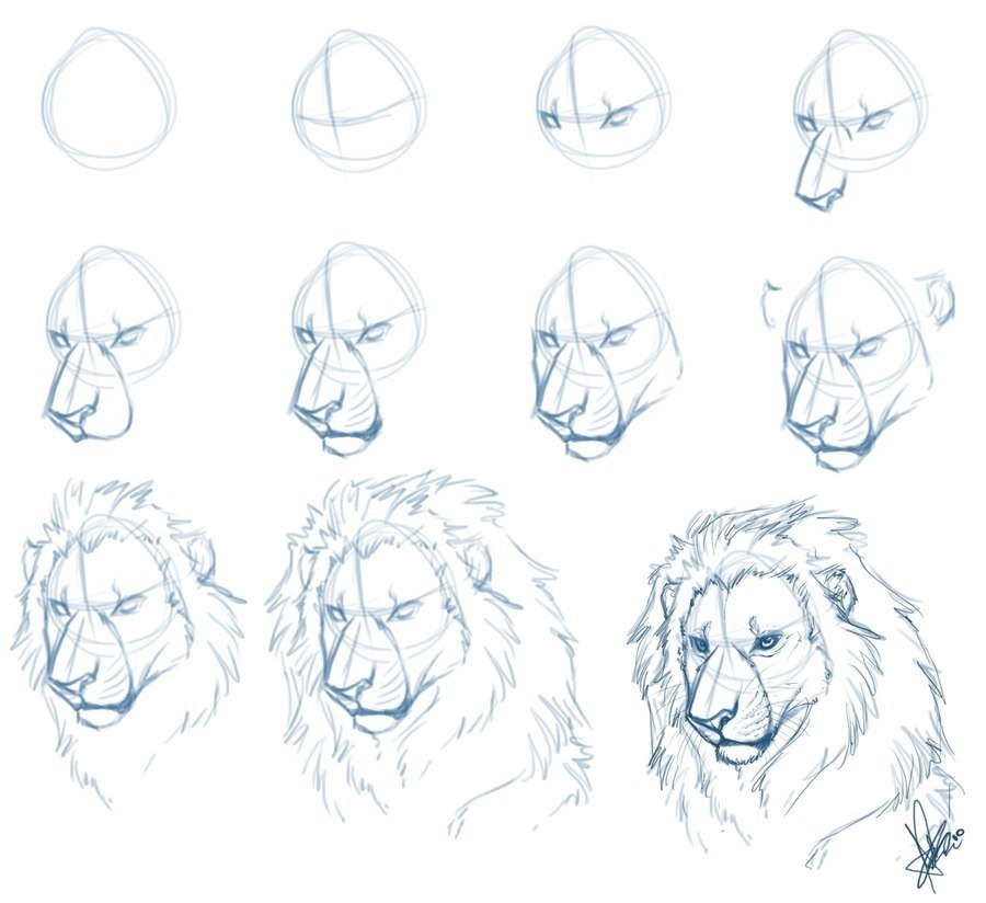 Как нарисовать льва красками
