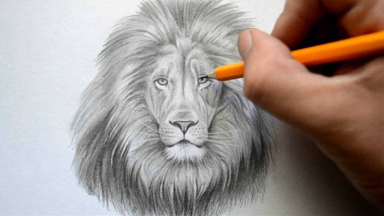 Как нарисовать льва красками