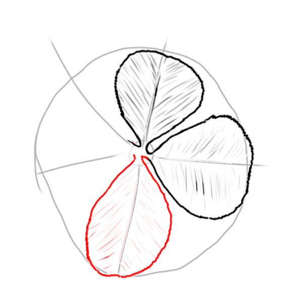 clover04
