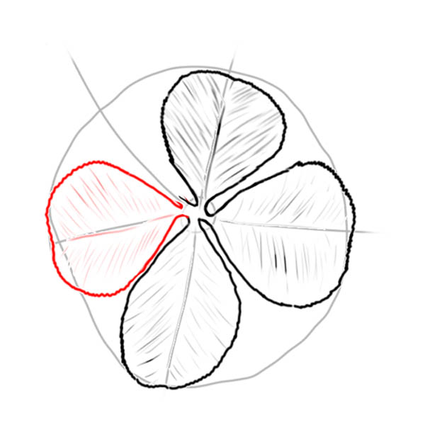 clover05