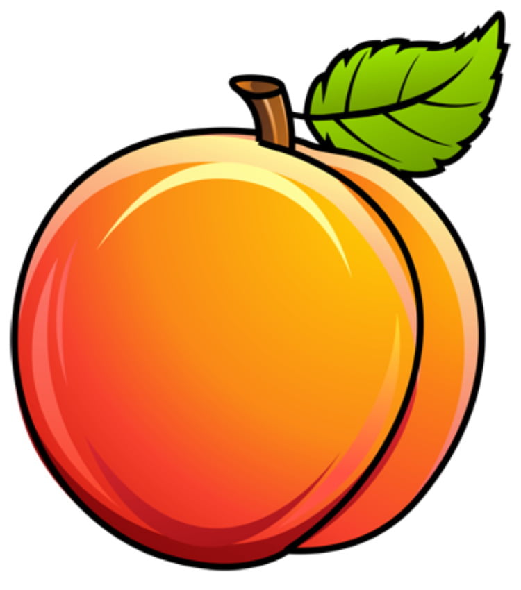Раскрашиваем плод персика