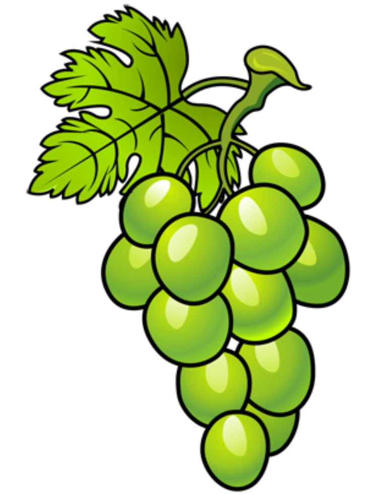 Раскрашиваем виноградную гроздь