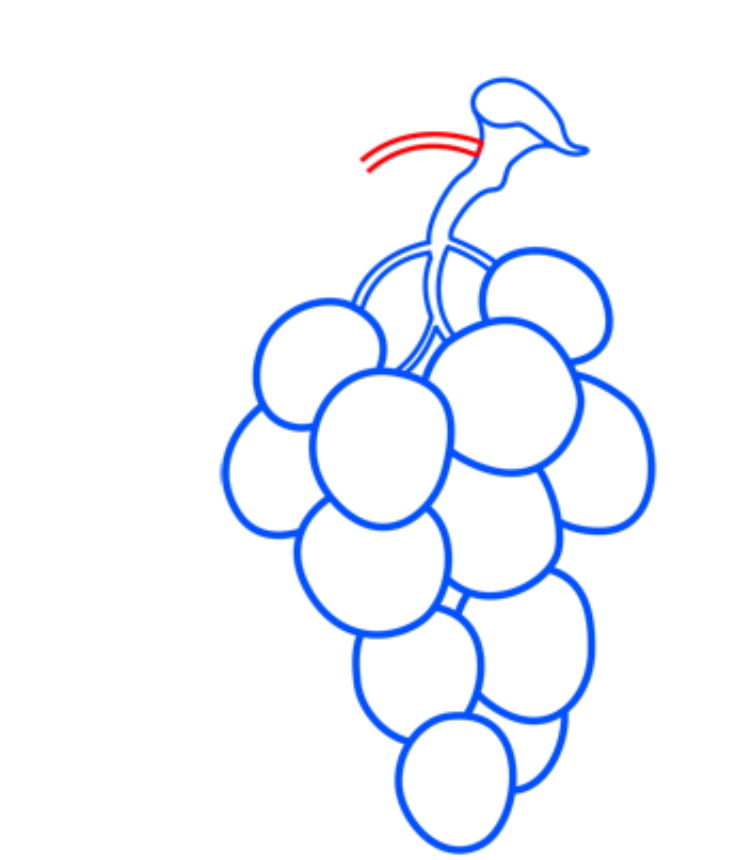 grapes08