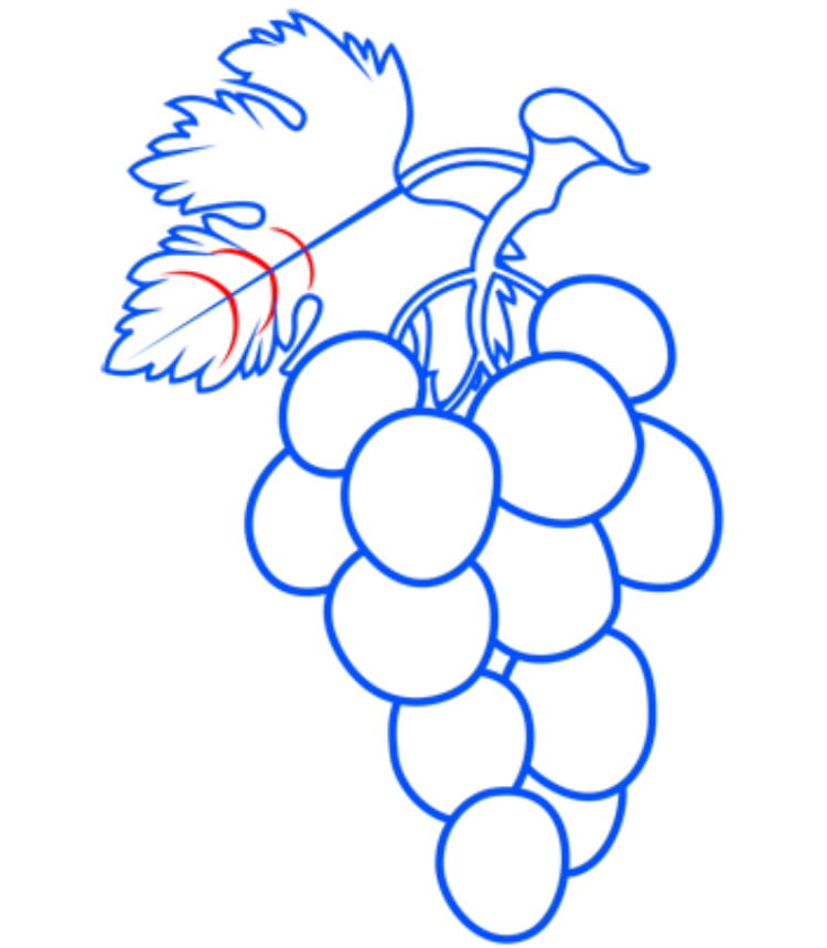 grapes11