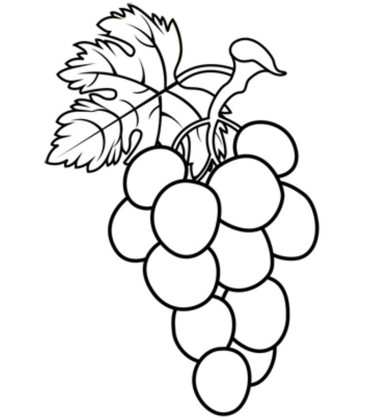 grapes16