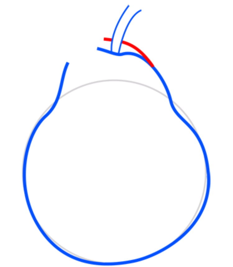 pear04