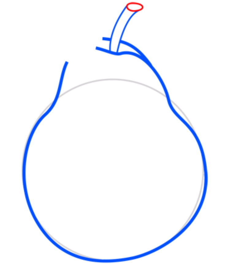 pear05