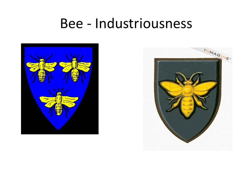 Bee - Industriousness