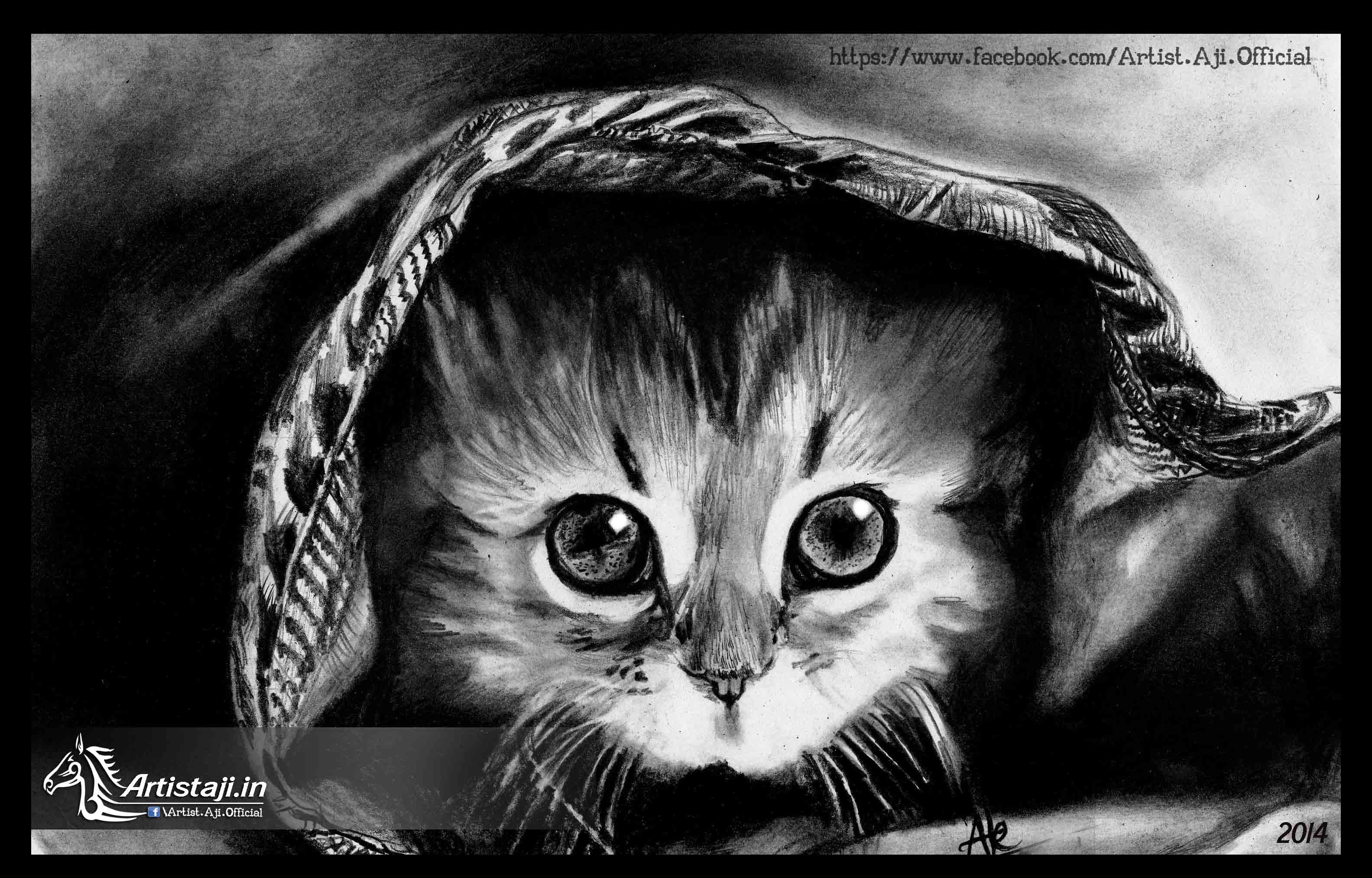 Картины кошек карандашом