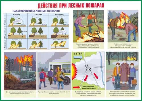 ПЛАКАТЫ ЧС ПРИРОДНОГО ХАРАКТЕРА