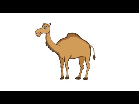 Как нарисовать верблюда: инструкция от EvriKak