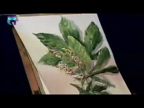 Уроки рисования (№ 37) акварелью. Рисуем ветку каштана