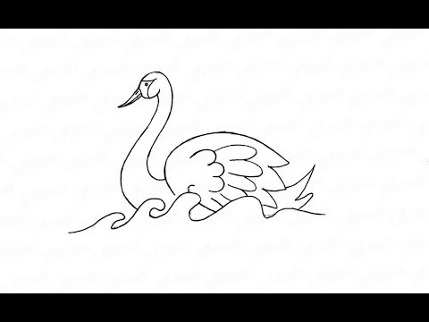 Как нарисовать лебедя на воде: инструкция от EvriKak