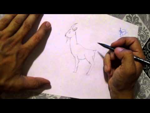 как рисовать козла~1