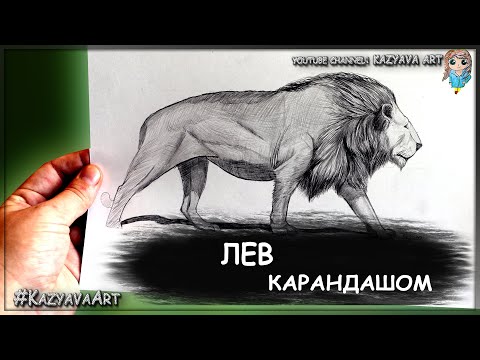 Как нарисовать Льва в полный рост карандашом. Схема построения. Рисую гриву.