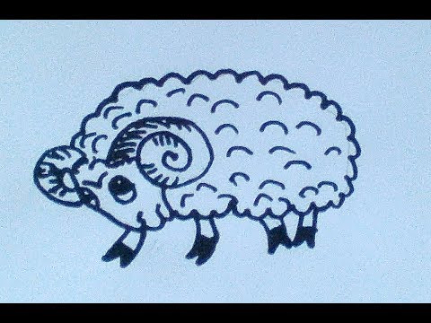 Как нарисовать барана - How to draw a ram - 如何画一只羊 Как нарисовать милые рисунки