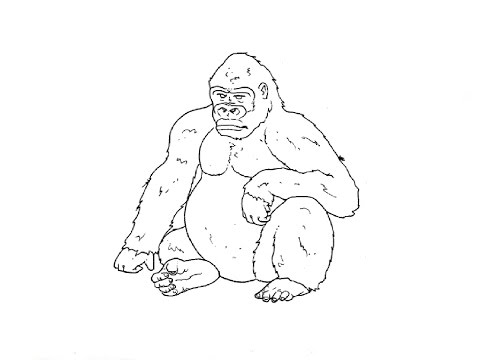 How to Draw a Gorilla / Как нарисовать гориллу