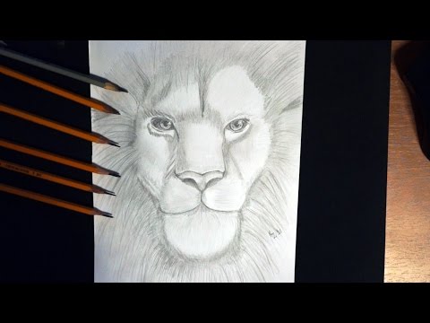 Как нарисовать морду льва. How to draw the face of a lion. // Рисунки карандашом #16