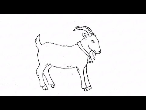Как карандашом поэтапно нарисовать козла: инструкция от EvriKak