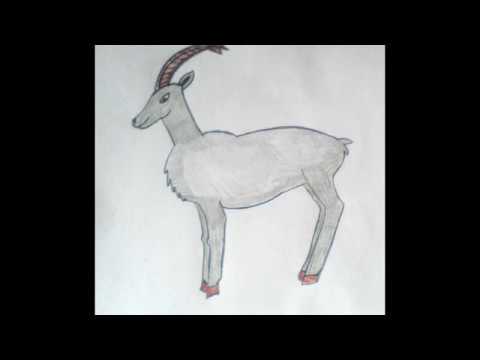 Рисуем горного козла - Draw a mountain goat - 画一只山羊 Как нарисовать милые рисунки