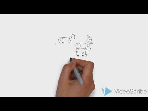 Маша (Masha) рисует горного козла шаг за шагом (How to draw a  mountain goat 2 step by step)
