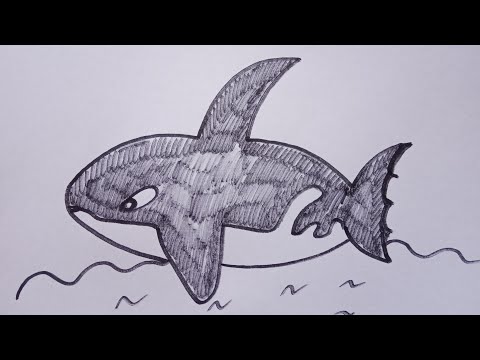 Рисуем касатку/Cómo dibujar una ballena asesina Как нарисовать милые рисунки