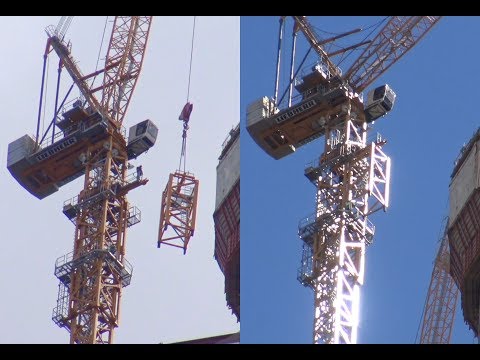 Как растут башенные краны для небоскреба Лахта Центр