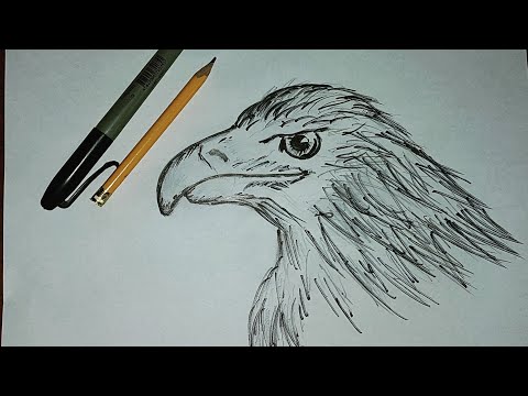 ОЧЕНЬ ПРОСТЫЕ РИСУНКИ. ЛЕВ И ОРЁЛ.