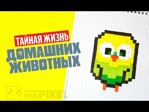 ВАУ!! ПОПУГАЙЧИК ГОРОШЕК рисуем по клеточкам (THE SECRET LIFE OF PETS)PIXEL ART