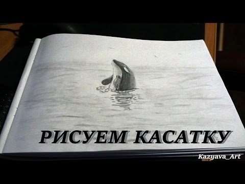 Как нарисовать касатку в море карандашом. How to draw a killer whale