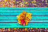 Кленовые листья на скамейке 