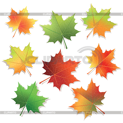 Осенняя открытка с кленовыми листьями 
