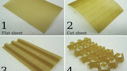 New Geometric Shape Discovered as Efficient Cell Storage in Nature New Geometric Shape Discovered as Efficient Cell Storage in Nature