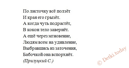 Стих про гусеницу