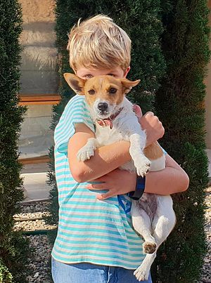 Boy and his dog