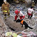 A SAR dog of Iranian Red Crescent