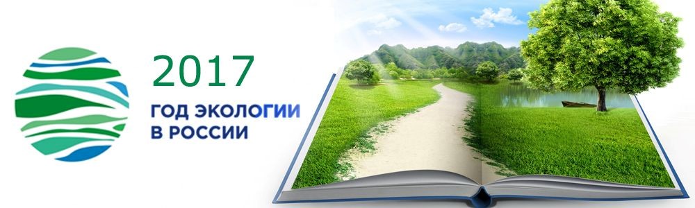 Год экологи. Год экологии. 2017 Год экологии в России. Год экологии в России. Год экологии эмблема.