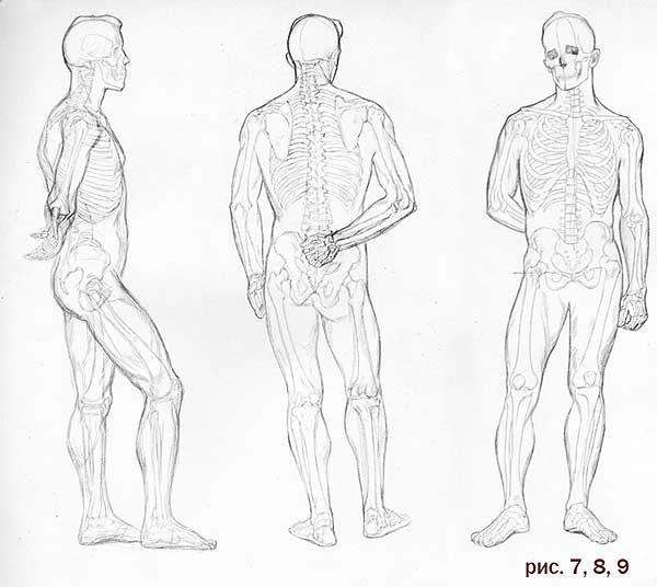 Тело стоит рисунок. Рисунок человека сбоку в полный рост. Фигура человека сзади. Рисование человека сзади. Рисование человека сбоку.