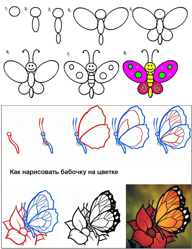 Рисование бабочка презентация