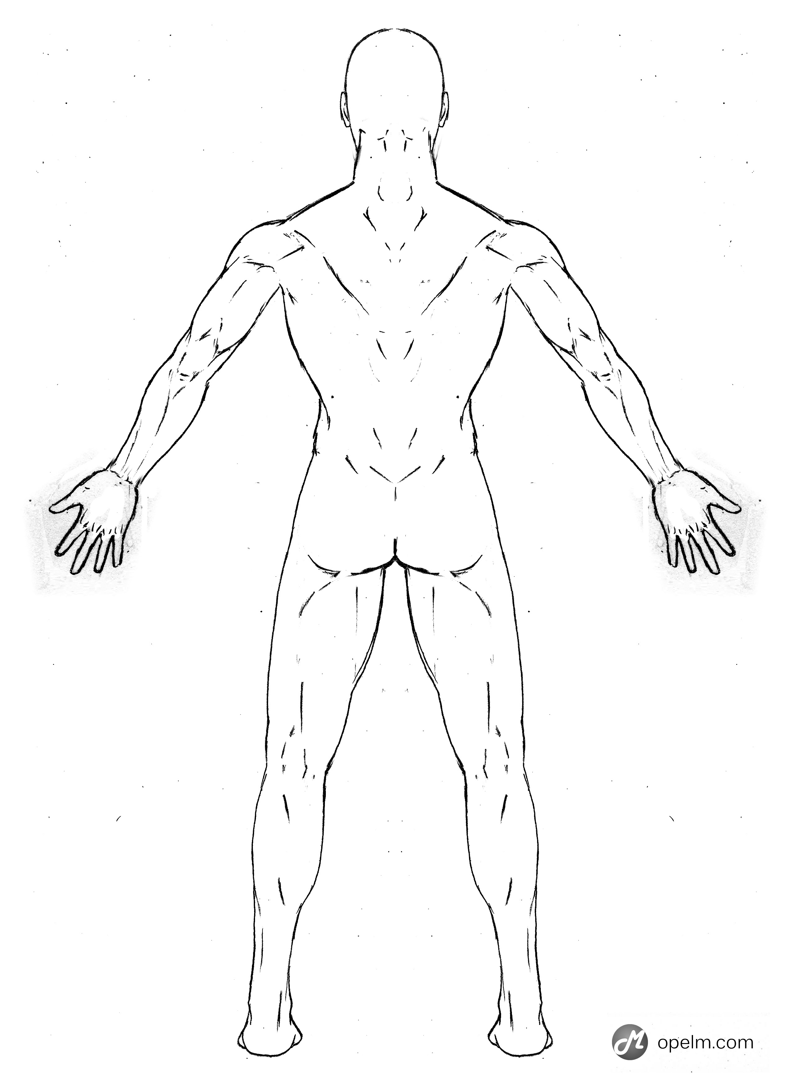 Тело человека руки. Схема человека сзади. Тело человека рисунок. Схема тела человека рисунок. Эскиз человеческого тела.