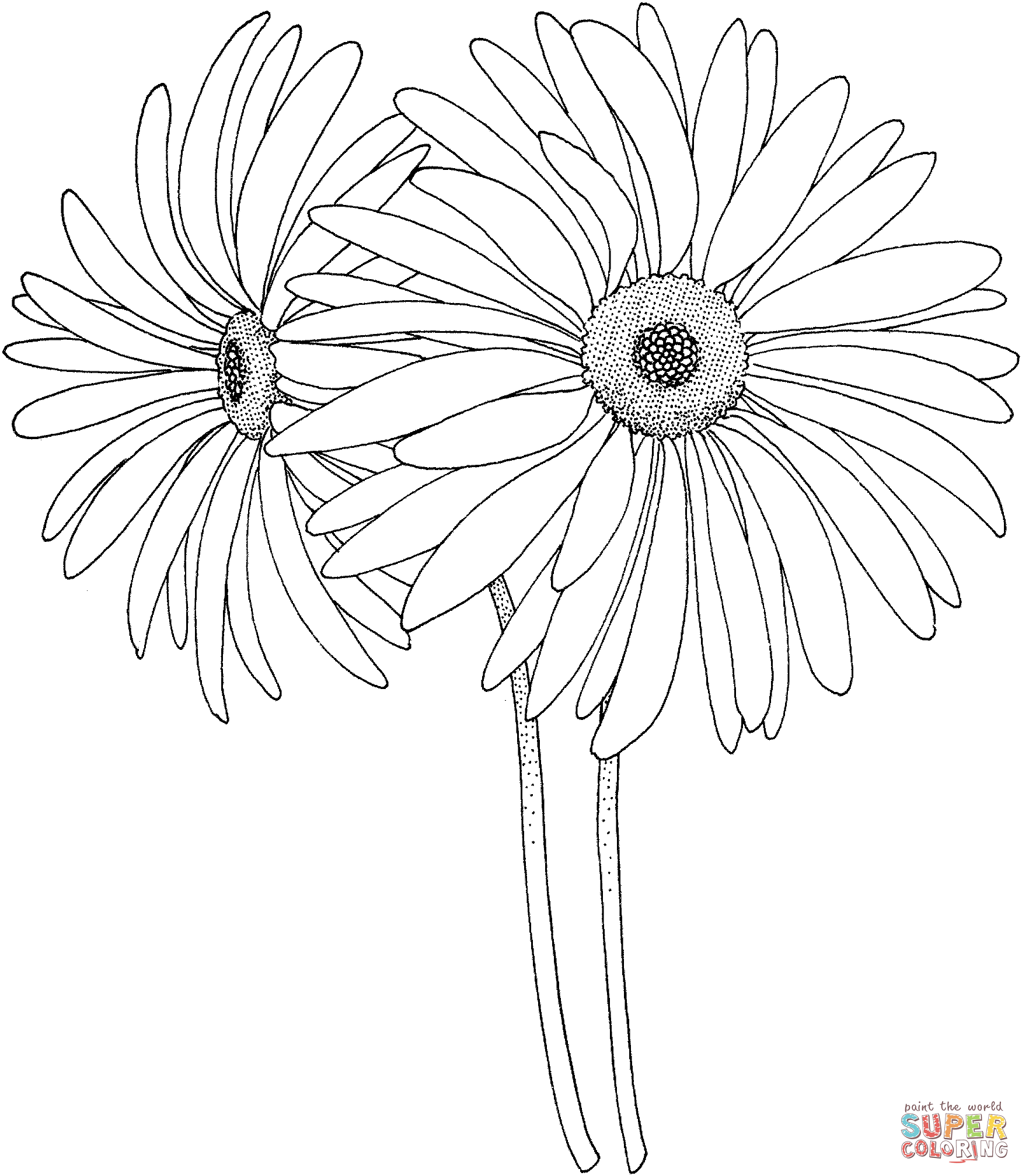 Нарисовать рисунок ромашка