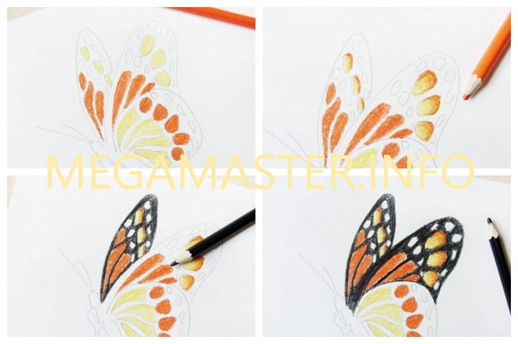 Яркая бабочка карандашами (Шаг 3)