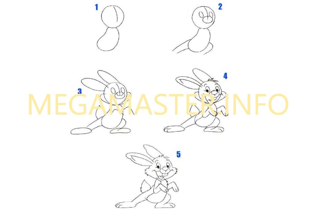 Самая простая схема рисунка зайца