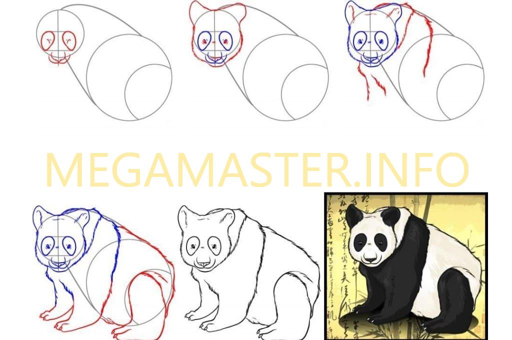 Схема рисования панды