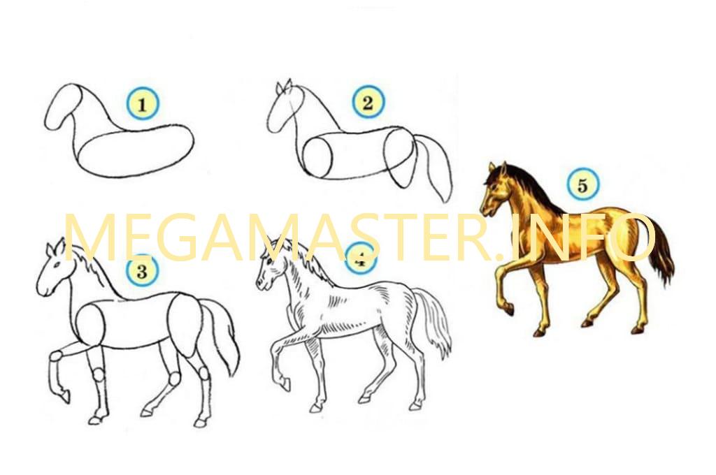 Простая схема рисунка лошади