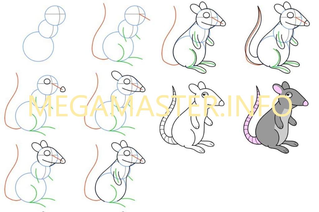Простая схема рисунка крысы